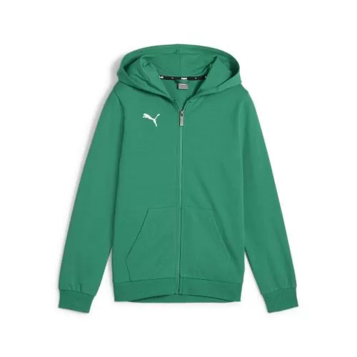 Puma teamGOAL Casuals Hooded Jacket Jr - sport green