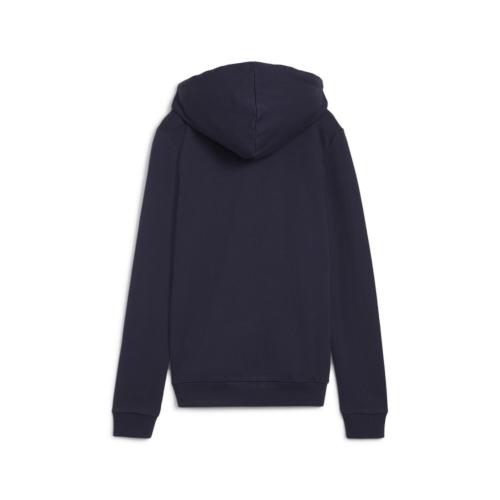 Preview: Puma teamGOAL Casuals Hooded Jacket Wmn - puma navy
