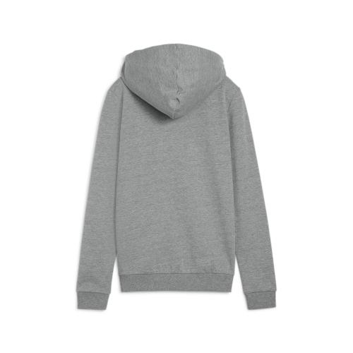 Preview: Puma teamGOAL Casuals Hooded Jacket Wmn - medium gray heather