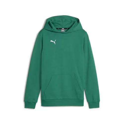 Puma teamGOAL Casuals Hoody Jr - sport green