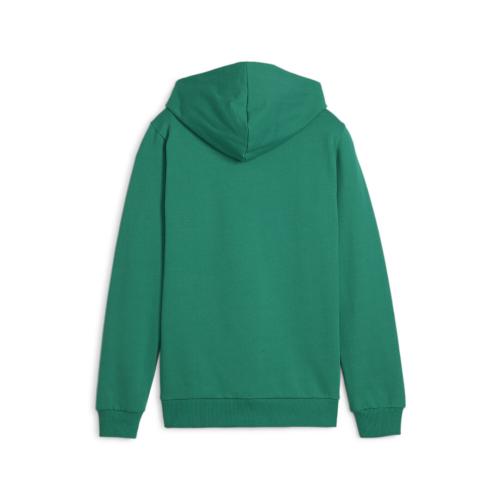 Preview: Puma teamGOAL Casuals Hoody Jr - sport green