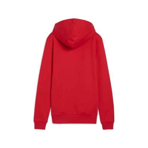 Preview: Puma teamGOAL Casuals Hoody Wmn - puma red