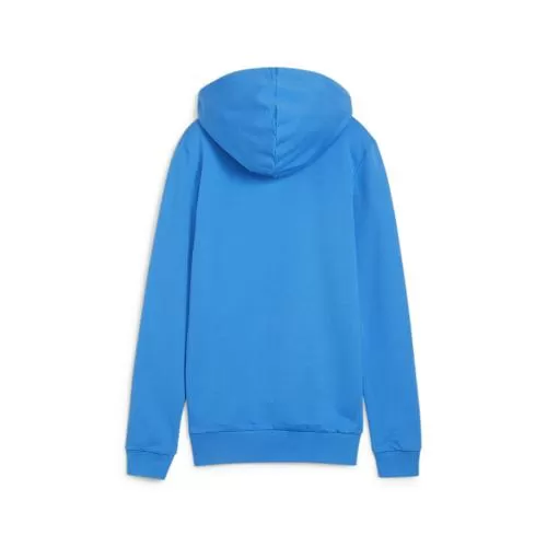 Puma teamGOAL Casuals Hoody Wmn - ignite blue