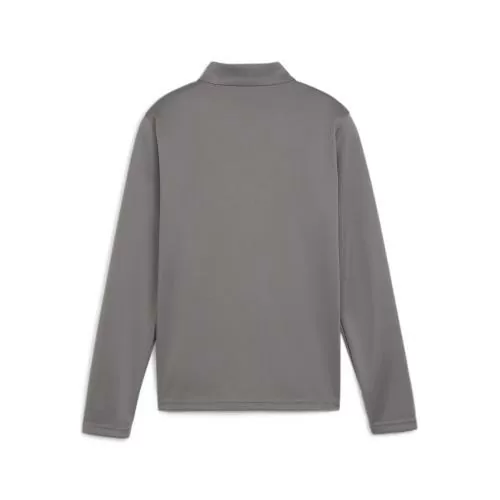Puma teamGOAL Training 1/4 Zip Top Jr - cast iron