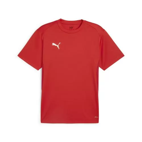 Puma teamGOAL Jersey - puma red