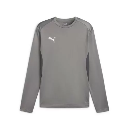 Puma teamGOAL Training Sweat - cast iron