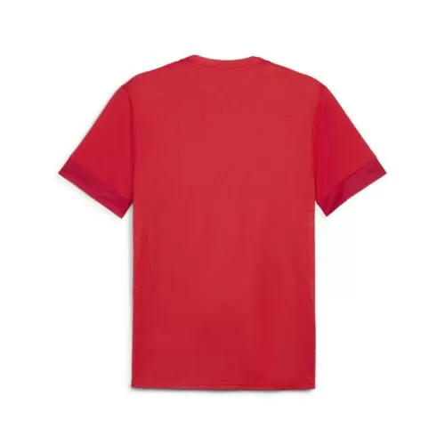 Puma teamGOAL Matchday Jersey - puma red