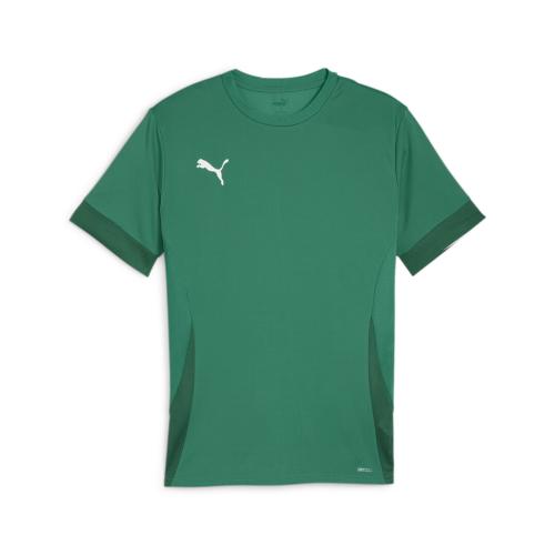 Preview: Puma teamGOAL Matchday Jersey - sport green
