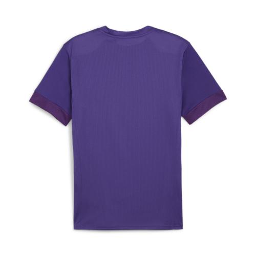 Preview: Puma teamGOAL Matchday Jersey - team violet