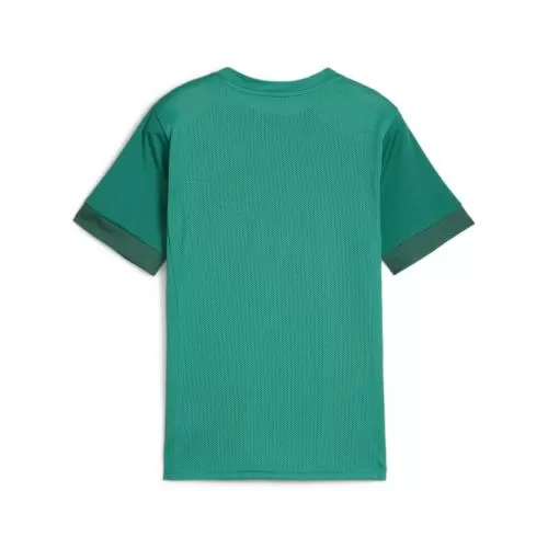 Puma teamGOAL Matchday Jersey jr - sport green