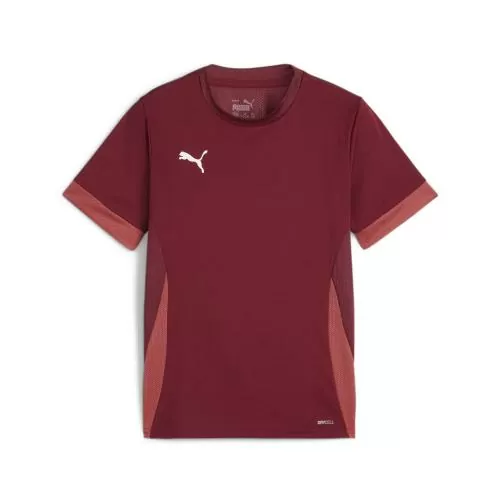 Puma teamGOAL Matchday Jersey jr - team regal red