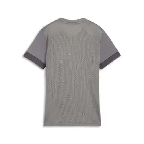 Puma teamGOAL Matchday Jersey Wmns - cast iron