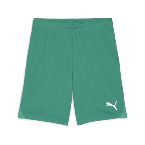 Preview: Einzelstück Puma teamGOAL Shorts - sport green