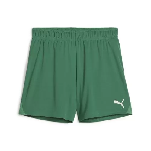 Puma teamGOAL Handball Shorts W - sport green