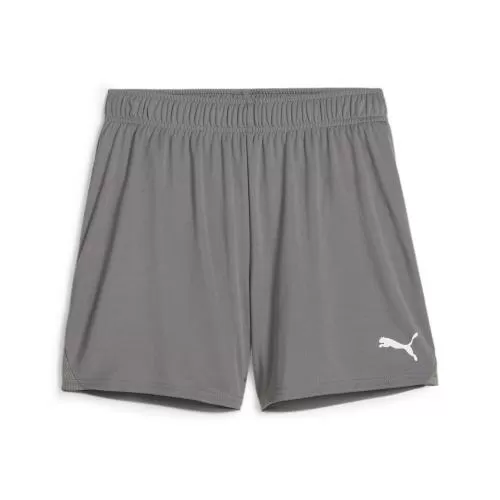 Puma teamGOAL Handball Shorts W - cast iron