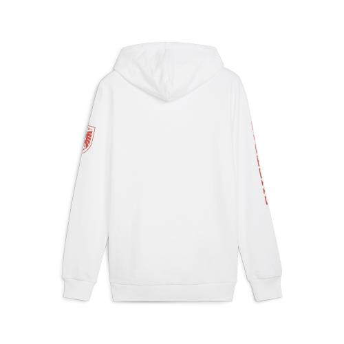 Preview: Puma ÖFB Ftblicons Hoody - puma white