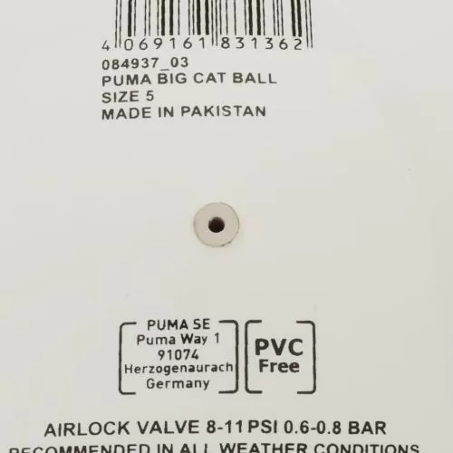 Puma BIG CAT ball - puma white