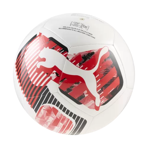 Puma individualLIGA Graphic ball - puma white