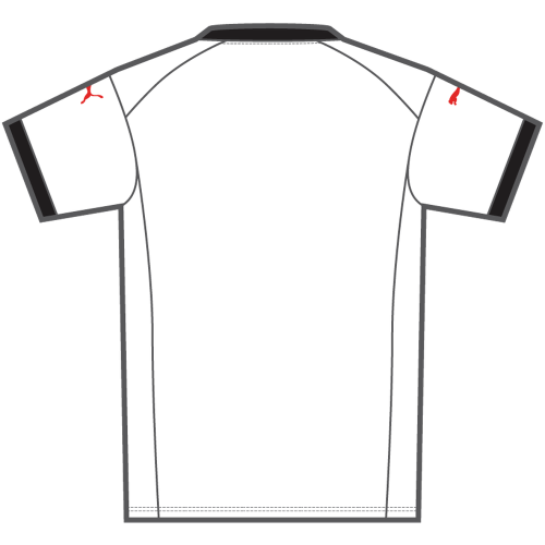 Preview: Puma fastMATCH Jersey Crew 12 - puma white