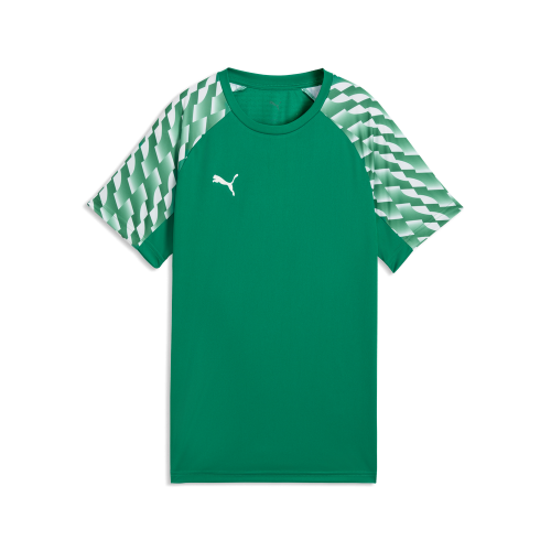 Preview: Puma teamLIGA26 Jersey Jr - sport green