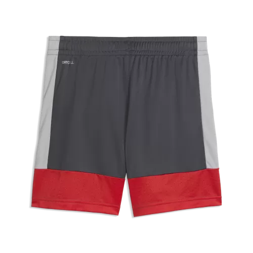 Puma IndividualLIGA Training Shorts Jr - gray echo