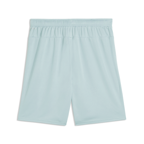 Preview: Puma teamGOAL Shorts - modern mint