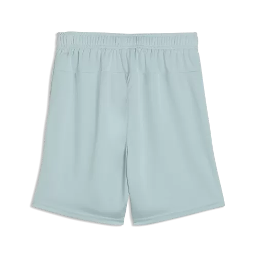 Puma teamGOAL Shorts Jr - modern mint