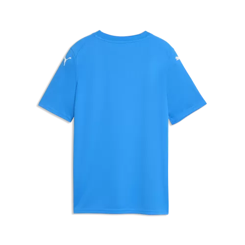 Puma teamFINAL Graphic Jersey Jr - electro royal