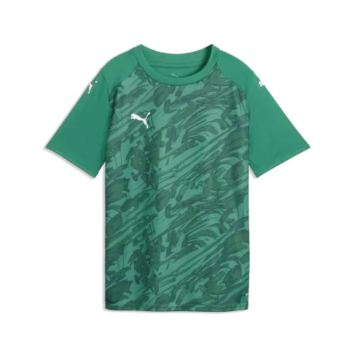 Puma teamFINAL Graphic Jersey Jr - sport green