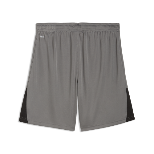Preview: Puma teamLIGA26 Shorts - flat medium gray
