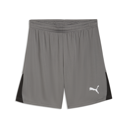 Preview: Puma teamLIGA26 Shorts - flat medium gray