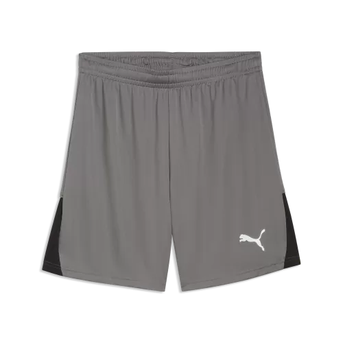 Puma teamLIGA26 Shorts - flat medium gray
