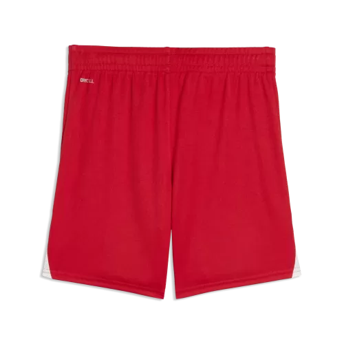 Puma teamLIGA26 Shorts Jr - puma red