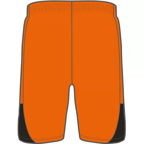 Puma teamLIGA26 Shorts Jr - rickie orange