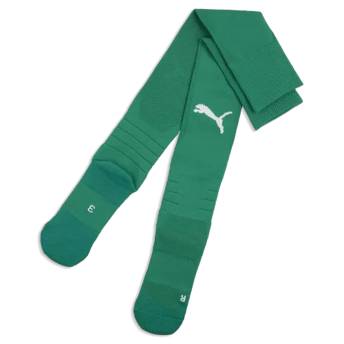 Puma teamLIGA26 Socks - sport green