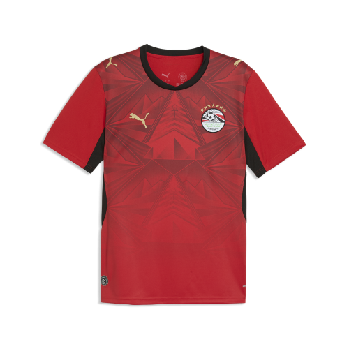 Preview: Puma EFA Home Jersey Replica - puma red