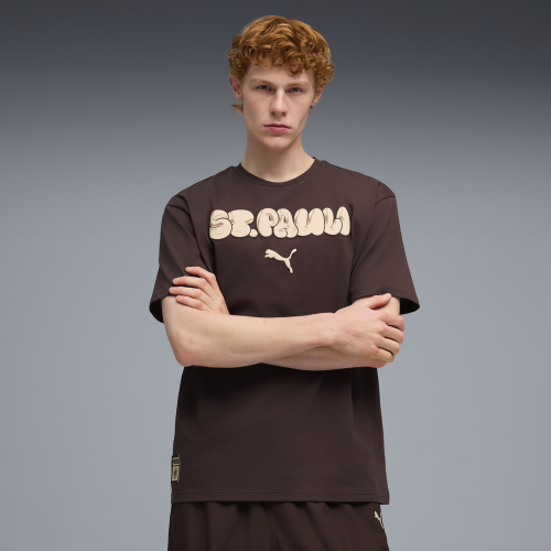 Preview: Puma FCSP Graphic Tee - chocolate brown