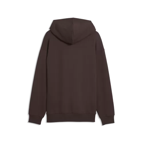 Puma FCSP Graphic Hoodie - chocolate brown