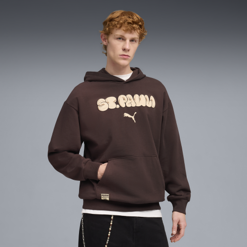 Preview: Puma FCSP Graphic Hoodie - chocolate brown