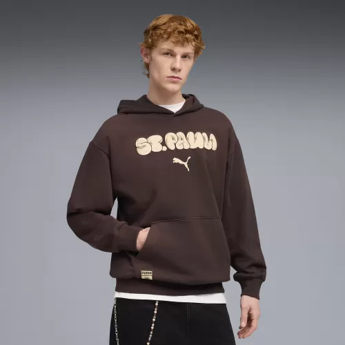 Puma FCSP Graphic Hoodie - chocolate brown