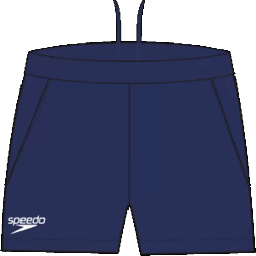Speedo Technical Shorts Women Teamwear Female Adult - Navy