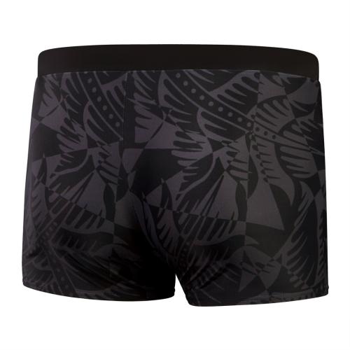 Preview: Speedo Valmilton Aquashort Swimwear Male Adult - Black, Oxid Gre