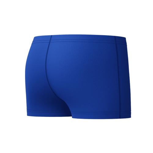 Preview: Speedo Medley Logo Aquashort Swimwear Male Junior/Kids - Deep Sapphire/Mayan Blue