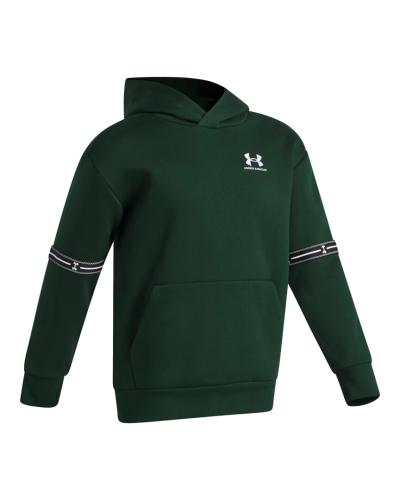 Preview: Under Armour B Icon Flc Taped Hd - forest green