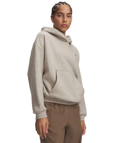 Preview: Under Armour Icon Fleece Hoodie - timberwolf taupe light hthr