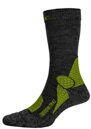 P.A.C PAC TR 4.1 Merino Compression - grey/panora/berry