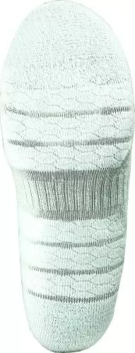 P.A.C PAC SP 3.2 Sport Recycled Stripes Sock 2x Pack - white