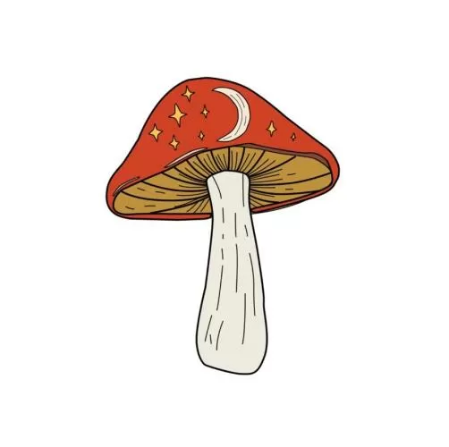 P.A.C. DIY Custom Patches - rust mushroom