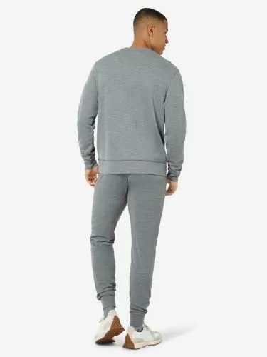 SN Super Natural M SOLUTION BIO CREW - cashmere grey melange