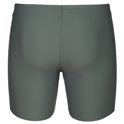 Arena M Arena Swim Mid Jammer Graphic GRAU